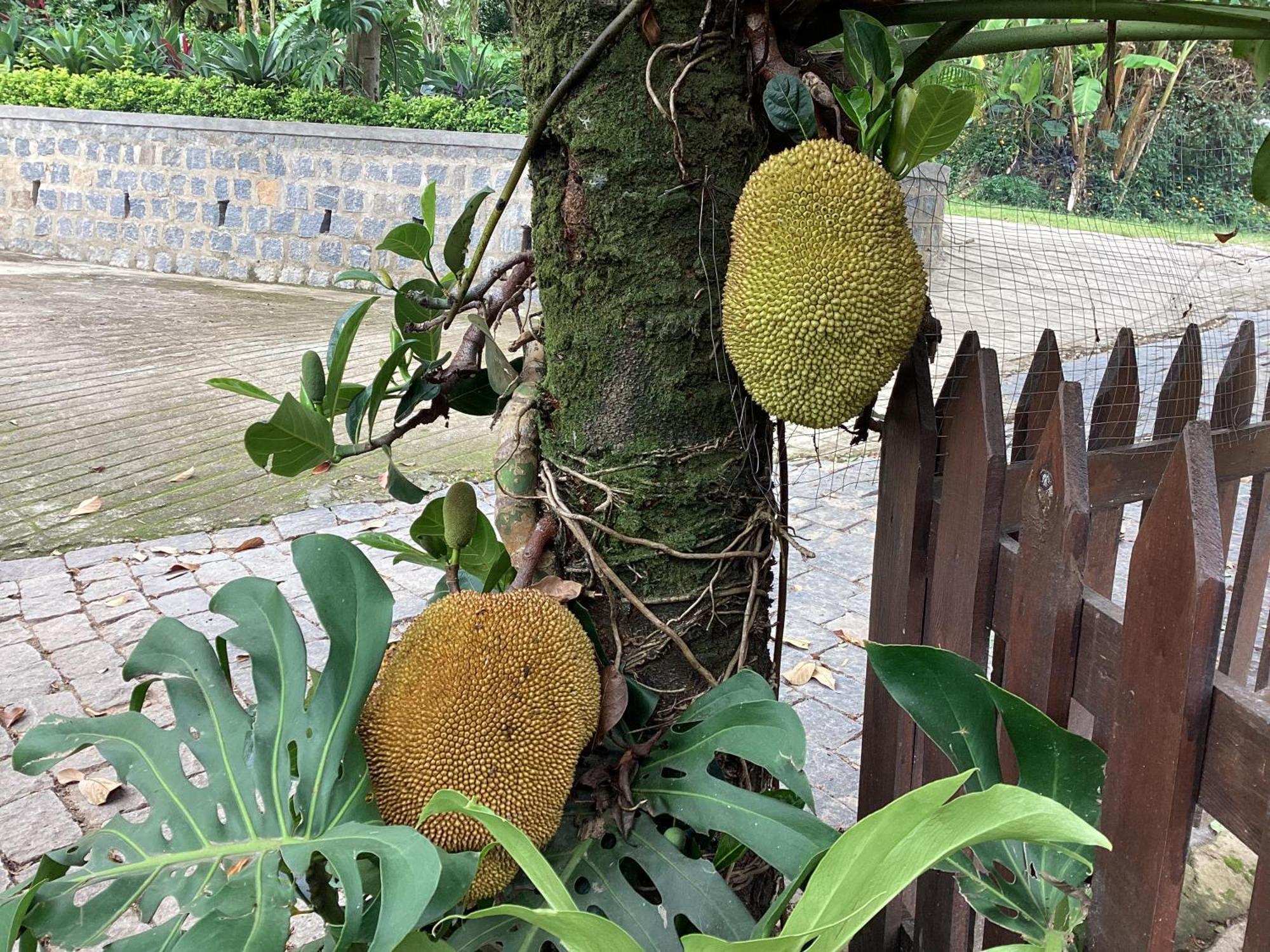 Villa Chezsoa, Antananarivo Eksteriør billede